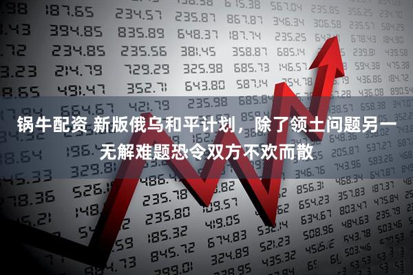 锅牛配资 新版俄乌和平计划，除了领土问题另一无解难题恐令双方不欢而散