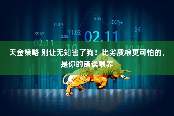 天金策略 别让无知害了狗！比劣质粮更可怕的，是你的错误喂养