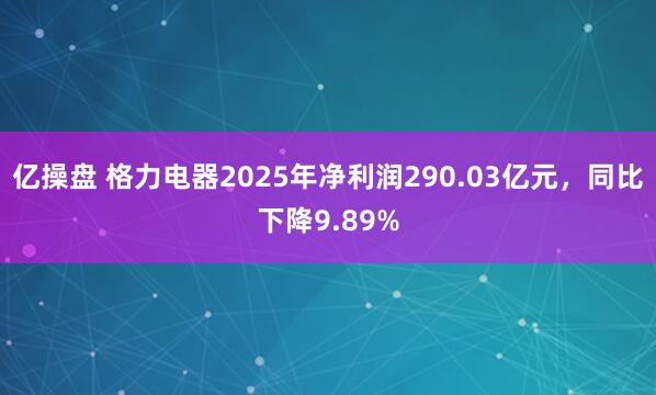 亿操盘 格力电器2025年净利润290.03亿元，同比下降9.89%